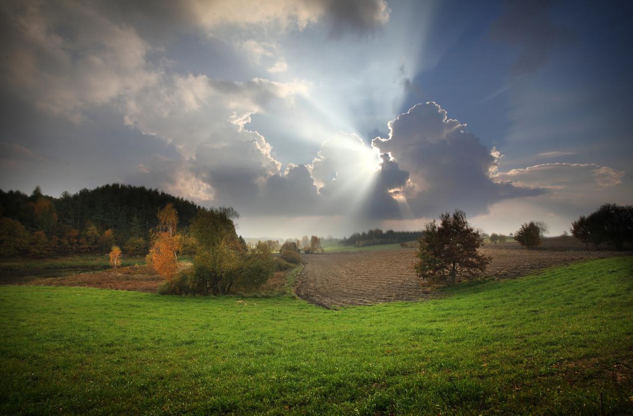 Palac I Folwark Nemino Sierakowice  外观 照片