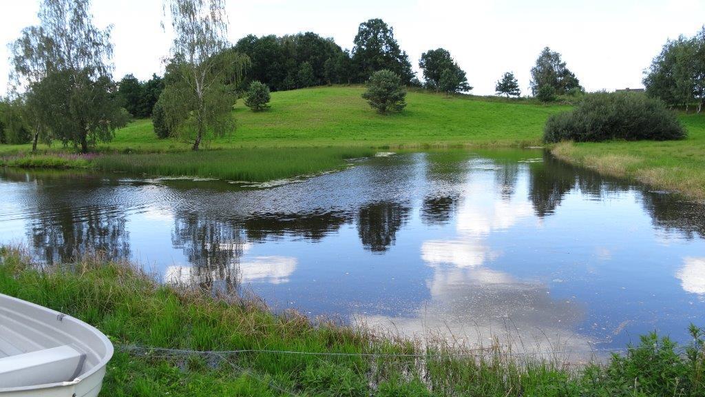 Palac I Folwark Nemino Sierakowice  外观 照片