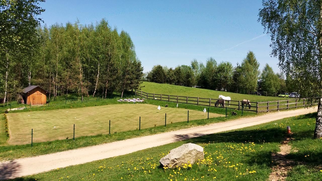 Palac I Folwark Nemino Sierakowice  外观 照片