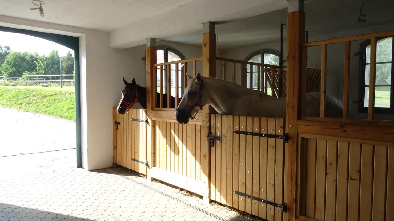 Palac I Folwark Nemino Sierakowice  外观 照片